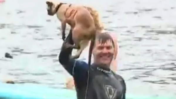 कुत्तों की दौड़ में बिल्ली ने लिया हिस्सा