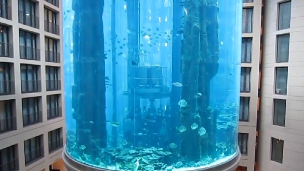 कम तापमान में जमकर मरी मछलियां