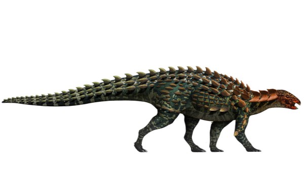 डायनासोर की 3 नई प्रजाति