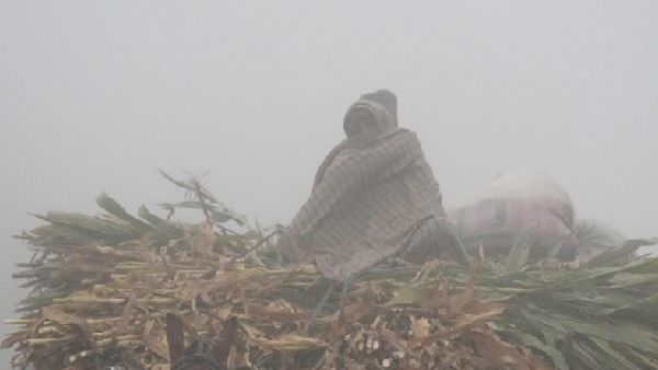  Delhi Weather: 
