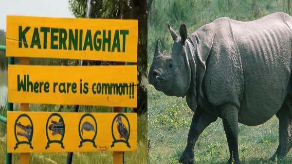 Bahraich Grassland Katarniaghat Century Nepalese rhinos center of attraction for tourists Bahraich Grassland Katarniaghat Century Nepalese rhinos center of attraction for tourists