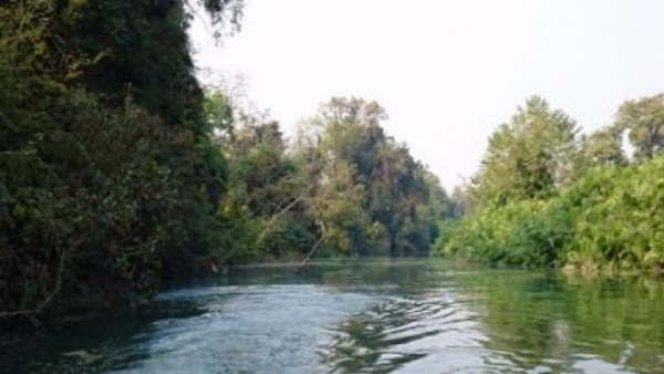 वर्ष 2002 के बाद से रास आने लगा जंगल वर्ष 2002 के बाद से रास आने लगा जंगल
