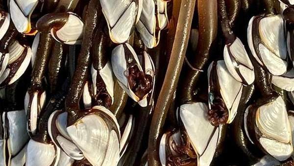 जैसे खजाना हाथ लगा