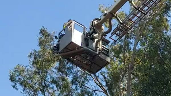 तीन घंटे हवा में लटके रहे फायर बिग्रेड के कर्मचारी तीन घंटे हवा में लटके रहे फायर बिग्रेड के कर्मचारी