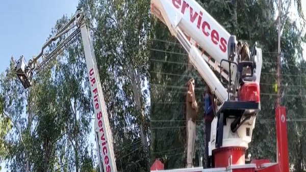 Rescue eagle stuck Chinese manjha fire brigade workers were hanging in the air for hours Rescue eagle stuck Chinese manjha fire brigade workers were hanging in the air for hours