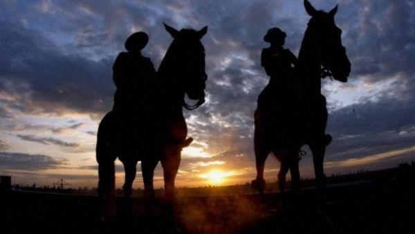 घोड़ों की मौत की होगी जांच