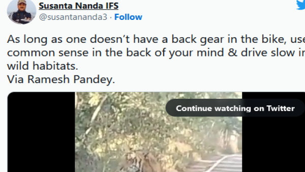 ये वीडियो IFS सुशांत नंदा ने शेयर किया और लिखी ये बात 