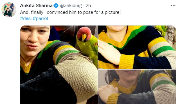अंकिता शर्मा ने अपने ट्विटर हैंडल पर शेयर किया 