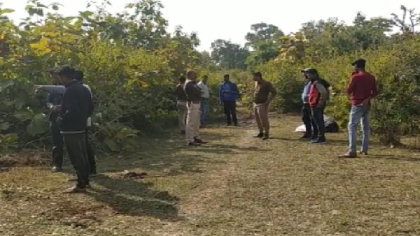 जंगल में गायों के कटे सिर मिले, बोरों में भरा था मांस जंगल में गायों के कटे सिर मिले, बोरों में भरा था मांस