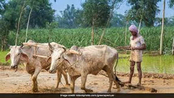 पीएम फसल बीमा स्कीम