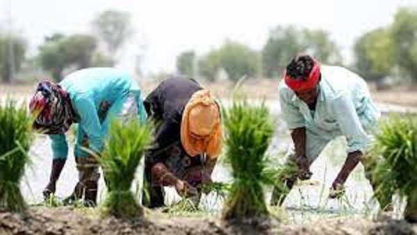 मृदा स्वास्थ्य कार्ड योजना