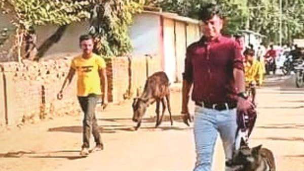 पोस्टमार्टम से पता चली क्रूरता 