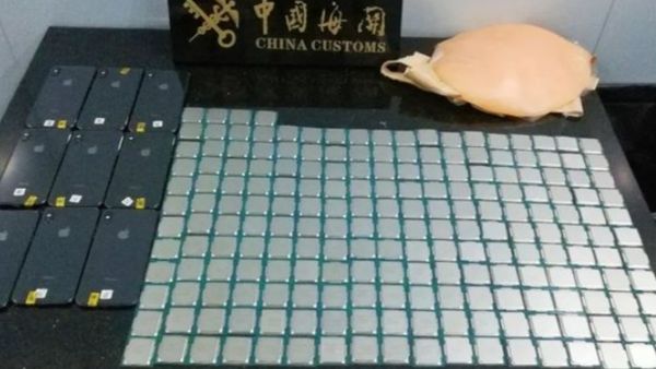 इतना सब छिपा कर ले जा रही थी महिला