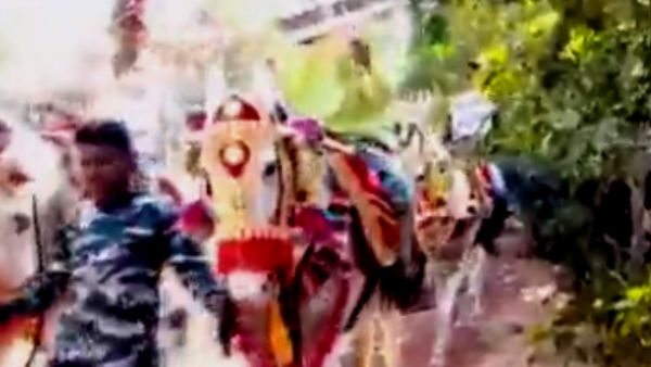 चर्चा में कुंवारे लड़कों का मार्च