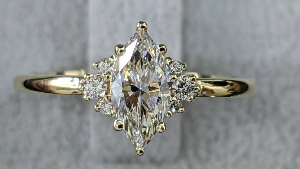 वॉटसन की पत्नी के निकले खुशी के आंसू