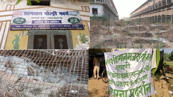 पोल्ट्री फार्म की गंदगी है वजह