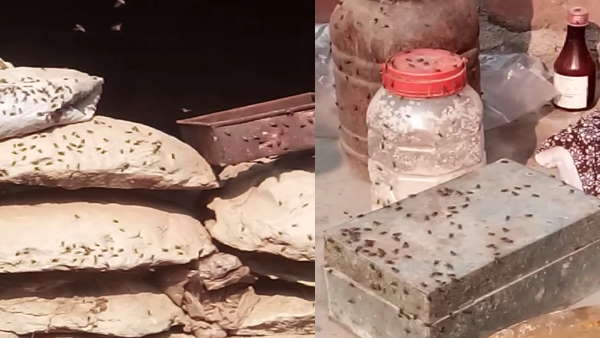 न मेहमान आते हैं न लड़को के लिए रिश्ते