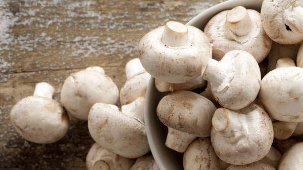 काशी विद्यापीठ के 8 हजार से अधिक बच्‍चे होंगे लाभान्वित 