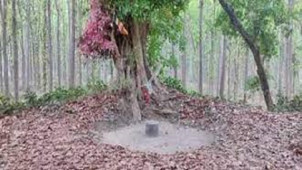 देवदह में खुदाई