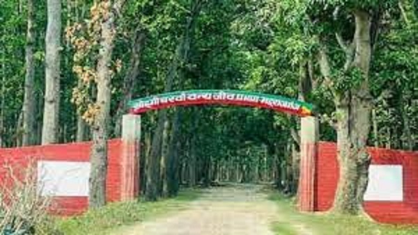 जंगल सफारी