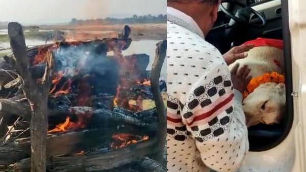 इंफेक्शन की वजह से भोपाल अस्पताल में हुई मौत