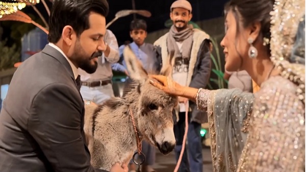 'मुझे जानवरों से प्यार है, लोग चाहे कुछ भी कहें...' 