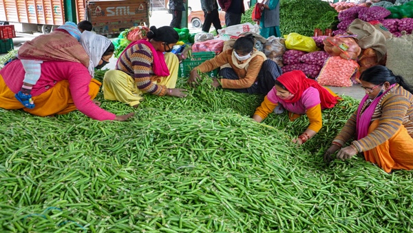 रिसर्च जारी है किसानों को मिलेगी सौगात रिसर्च जारी है किसानों को मिलेगी सौगात