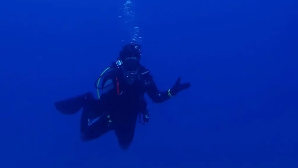 अमेरिका से गए थे एलेक्स