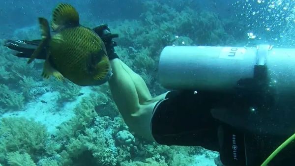 अंडे के लिए हुई हिंसक