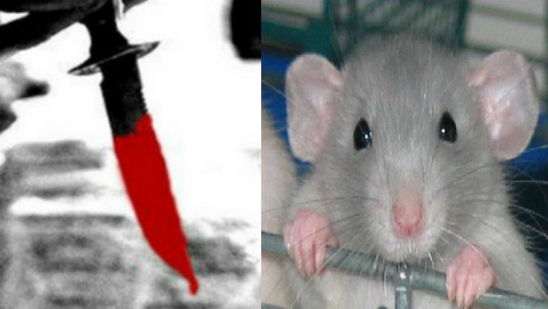 मेयर ने अनोखा जॉब ऑफर देते हुए लिखी ये पोस्‍ट 