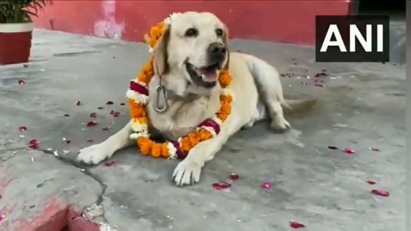 दो साल की उम्र में RPF में लाया गया था डॉन 
