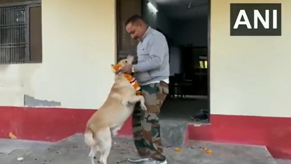 डॉन को मथुरा में मिला नया आसरा 