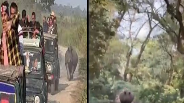 ऐसी घटनाओं के पीछे विशेषज्ञों ने बताई ये वजह ऐसी घटनाओं के पीछे विशेषज्ञों ने बताई ये वजह