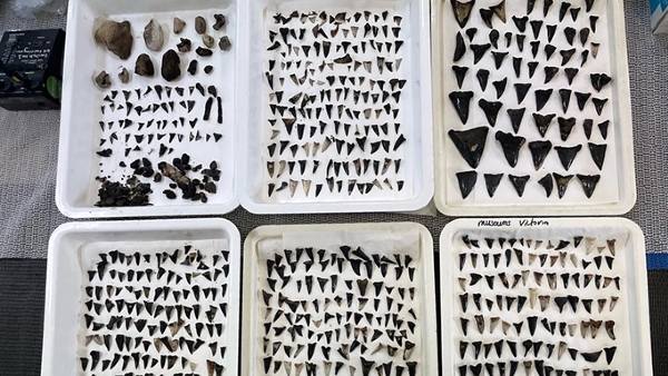 चल रहा था जैव विविधता सर्वे