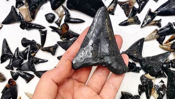 5.4 KM थी गहराई