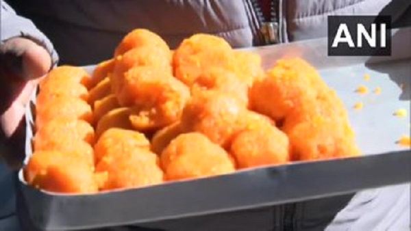 शिमला: कांग्रेस में जश्न, कार्यकर्ताओं का करा रहे मुंह मीठा 