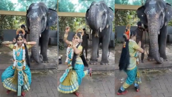 गजराज के सामने शास्त्रीय नृत्य