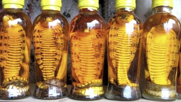 स्नेक ऑयल का इस्तेमाल स्नेक ऑयल का इस्तेमाल