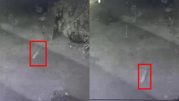 व्हीकल शोभापुर इलाके में CCTV में कैद हुआ था व्हीकल शोभापुर इलाके में CCTV में कैद हुआ था