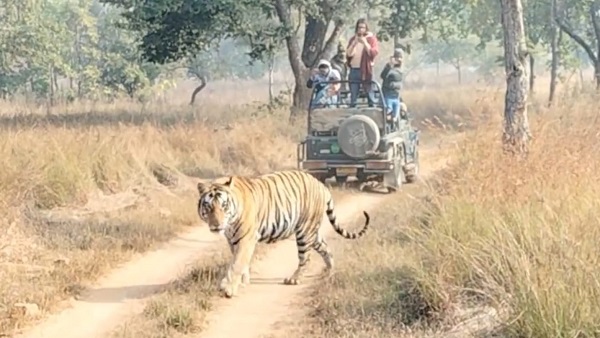 दो हफ्ते पहले ही पी-213 पर्यटकों के सामने आ गया था