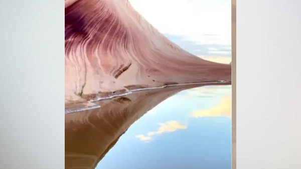 कितनी है इनकी लाइफ?