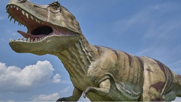 किसे मिला ये जीव?