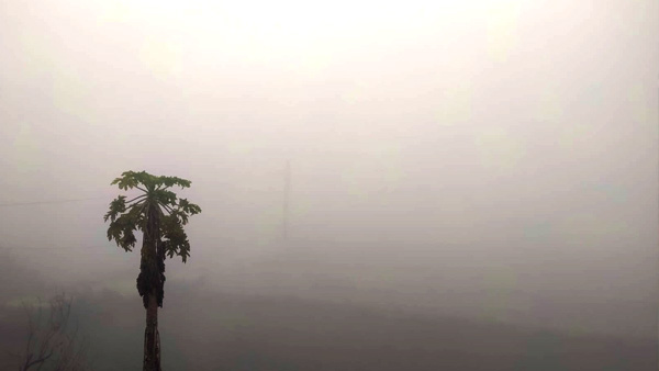 शुक्रवार को सुबह दृश्यता हो गई 30 मीटर