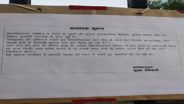 Sagar विवि में तेंदुए की दहशत, नोटिस लगाकर मार्ग किया बंद Sagar विवि में तेंदुए की दहशत, नोटिस लगाकर मार्ग किया बंद