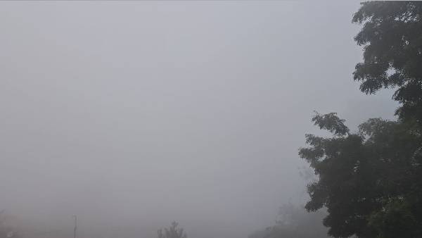 ठंड ने अचानक पकड़ी रफ्तार ठंड ने अचानक पकड़ी रफ्तार