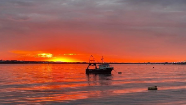 BDMLR ने क्या कहा? BDMLR ने क्या कहा?