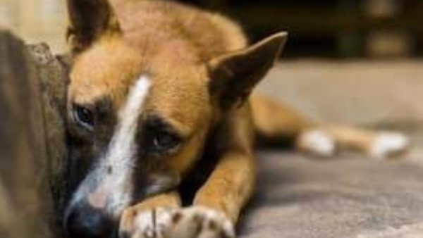 परिवार की तरफ से भी मिलता है पूरा सहयोग