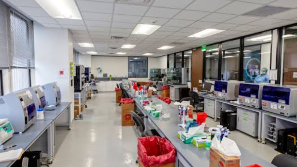 मध्य प्रदेश में कितने वैज्ञानिक सैंपल की जांच में जुटे मध्य प्रदेश में कितने वैज्ञानिक सैंपल की जांच में जुटे