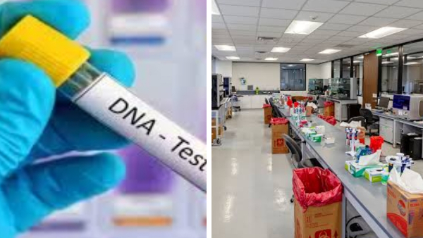 डीएनए की रिपोर्ट महत्वपूर्ण क्यों डीएनए की रिपोर्ट महत्वपूर्ण क्यों