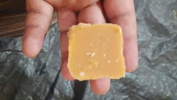 प्रदेश में किसानों के लिए चल रही योजनाएं